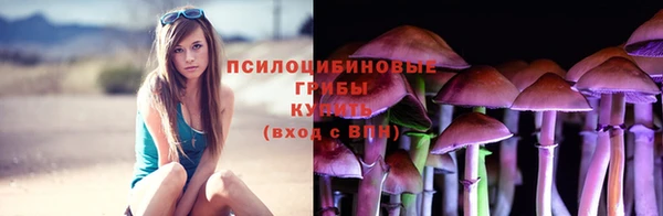 2c-b Богданович
