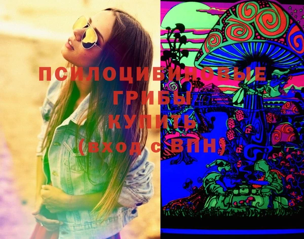 стафф Богородицк