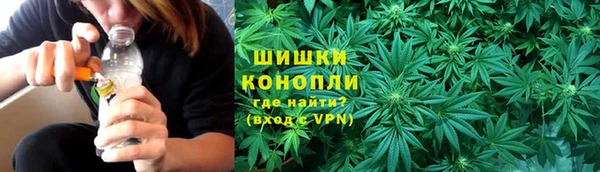 стафф Богородицк